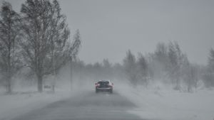 Under eftermiddagen har vinden tilltagit. Bil på väg längs landsväg i snöyra och hård vind.