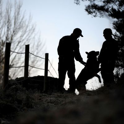 Rajavartijat ja koira partioimassa Suomen ja Venäjän raja-alueella.