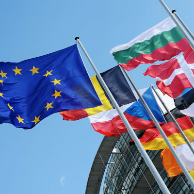 Flaggor från medlemsländerna i EU.