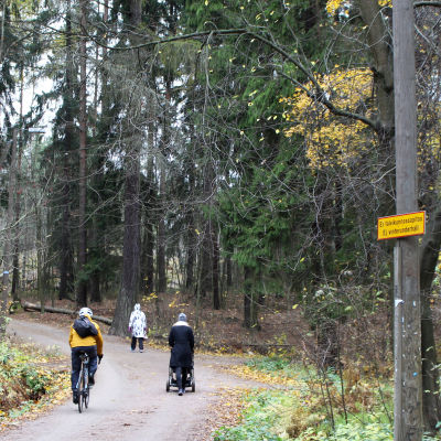 skog där mänskor går och cyklar på en naturstig