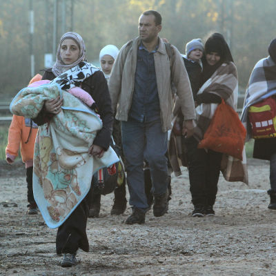 Migranter i Serbien