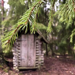 Rekreation i skogen har blivit allt viktigare under pandemin. Också det här vill Lojo satsa mera på - bland annat ska kartor över rekreationsrutter göras mer lättillgängliga. Bilden är från en rastplats i Karnaisskogen i Lojo. Ett utedass i skogen. I förgrunden en grankvist i solen.