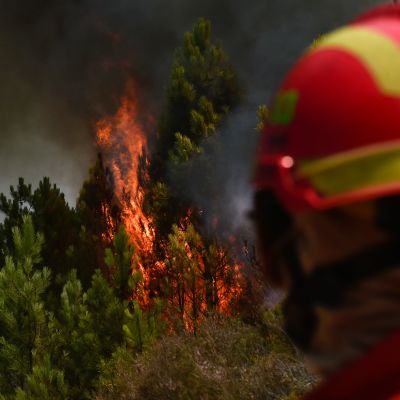 En brandman ser ut över en skogsbrand i Castelo, i Mação 26.7.2017.