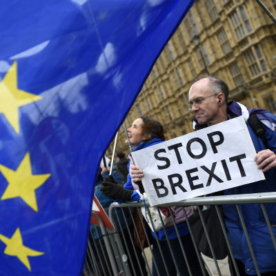 Britter utanför parlamentshuset håller skylt med texten "stoppa brexit".