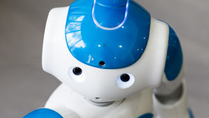 Sinivalkoinen sosiaalinen robotti katsoo kameraan 