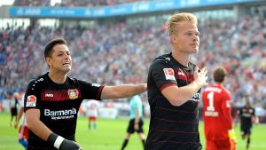 Pohjanpalo har spelat lysande i Leverkusen – men inte fått värst mycket ansvar. Chicharito försöker nå Pohjanpalo efter att finländaren gjort mål.