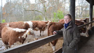 Anna Alm är ekojordbrukare på Mörby gård. Köttproducent Anna Alm på Mörby gård i Raseborg