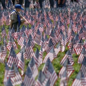 Den amerikanska scoutrörelsen beklagar att deras medlemmar drabbats av sexövergrepp. Scouter lägger ut tusentals amerikanska flaggor för att hedra stupade soldater och sjömän.