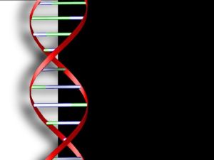 Dina dna-uppgifter är konfidentiella, men kan till exempel delas anonymt med forskare om du vill. DNA