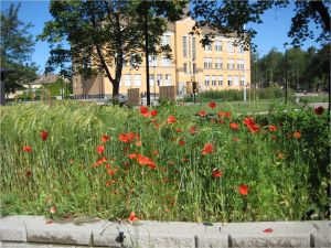 Lagmans skola har klarat sig fint i Stafettkarnevalen genom åren. Lagmans skola i Jakobstad