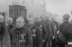 Lägerfångar med märken, Sachsenhausen, 19 december 1938. lägerfångar, Sachsenhausen, rosa triangeln, Nazityskland