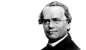Ärftlighetsforskaren Gregor Mendel (1822-84) betraktas som genetikens grundläggare. Han lade fram en teori och en modell för hur egenskaper nedärvs. Det gäller för sjukdomar som beror på en enda gen.