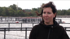 Pia Lindberg-Lumme odlar fisk på Brändö, Åland. Pia Lindberg-Lumme odlar lax i Brändö, Åland.