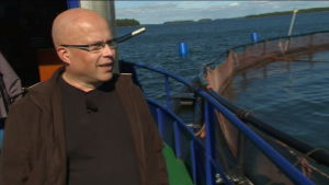Jorma Leed är produktionschef vid Heimon kala som odlar fisk i Houtskär. Jorma Leed är produktionschef vid Heimon kala.