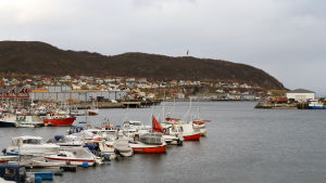 Omkring 70 procent av Skjervøys ekonomi kretsar kring fisk. Skjervøy i Nordnorge