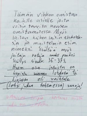 Ratsastuspäiväkirjan sivu