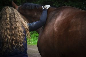 Nainen ja tumma hevonen takaapäin kuvattuina