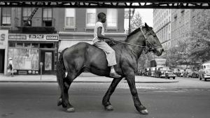African-American Man on Horse, NYC Valokuva dokumenttielokuvasta Vivian Maierin salaisuus.