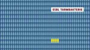 Sjuka i esbl-bakterie