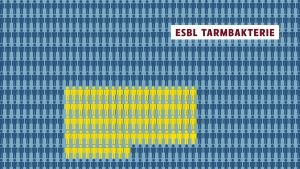 Sjuka i esbl-bakterie