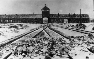 Infarten till Auschwitz 1945 efter befrielsen.