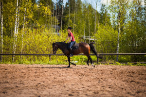 Ystäväni hevonen
