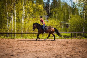 Ystäväni hevonen