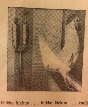Kukkokuva Kouluradion vuodne 1946 julkiasusta. Tekstissä kukkoon viitataan kuvatun "pari vuotta aiemmin" Ylen studiolla.