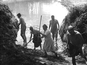 Amerikansuomalainen Erosen perhe rakentaa uima-allasta (1947).