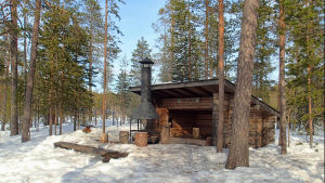 Kuukkeli laavulla