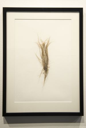 Osa Karvainen Kasvio -teoksesta Karvainen kasvio, Noora Schroderus, Serlachius-museo, Mänttä,
