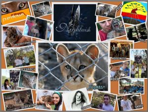 Pictures from Pumacawa Animal Sanctuary. nightwish, tuomas holopainen, to nightwish with love -dokumentti, tuomas-puuma, eläinreservaatti
