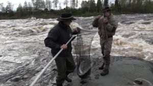Kalastajia Tornionjoella