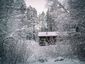 En tredjedel av stugan utgör bostaden, den andra delen är en ladugård, som för tillfället fungerar som vedförråd och snickeri. En stuga i skogen.