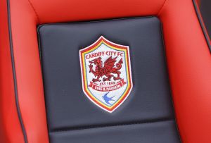 Cardiff City tog in en drake i sitt lagmärke.