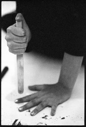 Marina Abramović, Balkan Baroque , 1997 Marina Abramovićin performanssikuva vuodelta 1973.