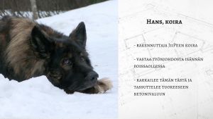 Hans Ristmeri - koira