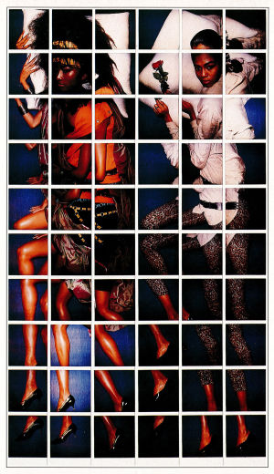 Kari Riipisen teos Splitting Ladyland