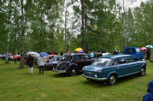 Museoautoja pysäköityinä riviin nurmikentälle, sateenvarjoja piteleviä ihmisiä käyskentelemässä autojen lomassa,