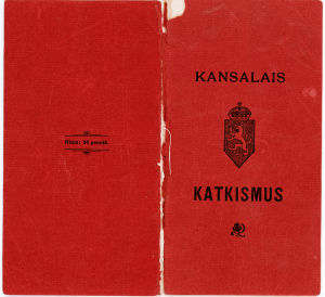 Kansalaiskatkismus 