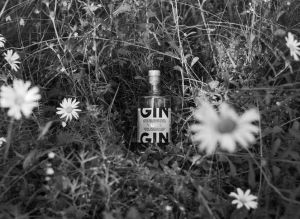 Napue-gin voitti International Wine and Spirits Competitionin Gin and Tonic kilpailun. // Kuva: Kyrö Distillery Company / Kimmo Syväri
