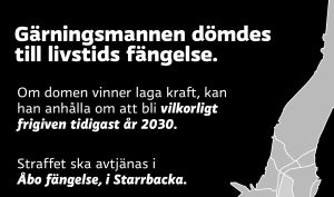 Gärningsmannen dömdes till livstids fändelse. Om domen vinner laga kraft, kan han anhålla om att bli vilkorligt frigiven tidigast år 2030. Straffet ska avtjänas i Åbo fängelse, i Starrbacka.