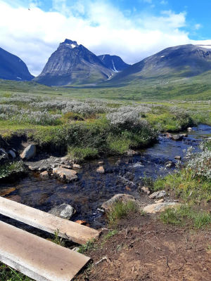 Platsen där Frida stod helt ensam. Vid foten av Kebnekaise. Vi ser en bäck, grönt gräs och vita blommor. I bakgrunden syns berg med snö på topparna.