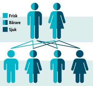 För att insjukna till exempel i sjukdomen AGU krävs att båda föräldrarna bär på den defekta genen. Då är risken 25 % att barnet blir sjukt. Recessiv nedärvning.