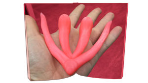 3D-printattu klitoris. Kuvituskuva kirjastoja käsittelevään artikkeliin. 