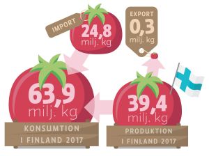 Så här konsumerades färska tomater i Finland år 2017. Grafik över hur många miljoner kilo färska tomater som konsumeras i Finland 2017.