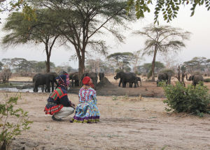 Markku och Annika i Senyati, Botswana Markku Laakso och Annika Dahlsten i samedräkter ser på elefanter i Senyati i Botswana.