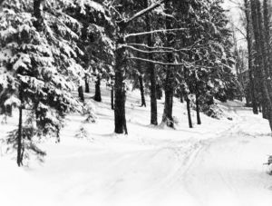 Melartin harrasti mm. valokuvausta. Talvinen maisema Pukinmäessä 1930-luvulla. Erkki Melartinin ottama valokuva Pukinmäestä talvella 1930-luvulla.