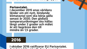 Europavalet, tidslinje