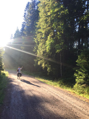 Soratiellä pyöräilevä vilkuttaa taakseen, aurinko siivilöityy puiden lävitse ja tuo kuvaan kauniin valon.